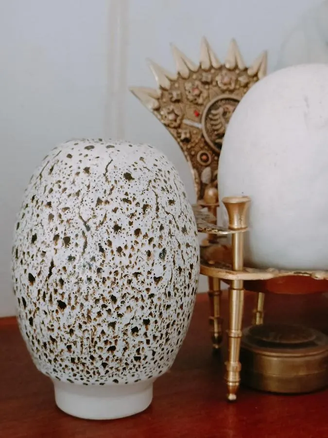 *** ゲストハウス John Bauer Pottery Studio ケープタウン 南アフリカ